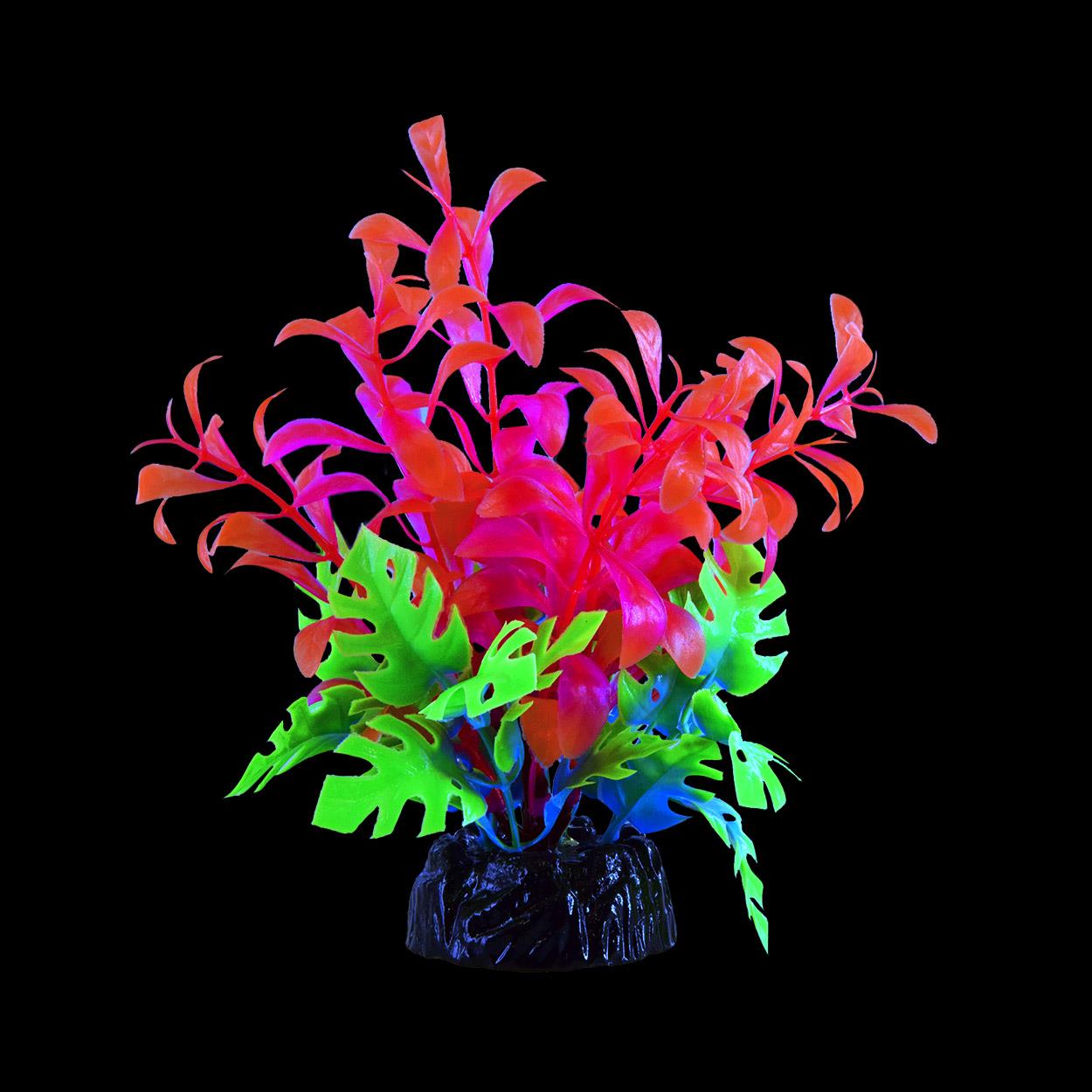 Underwater Treasures Glow Plants - Small Pink Bacopa