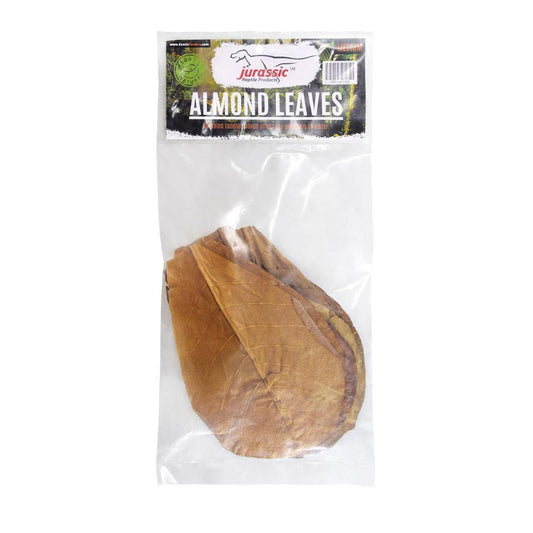 Jurassic Reptile Products - Almond Leaf Litter